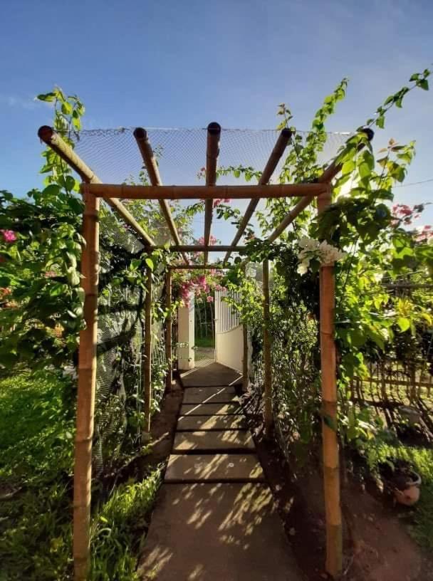 Dreamink Farm Og Myl'S Place Sorsogon Eksteriør bilde
