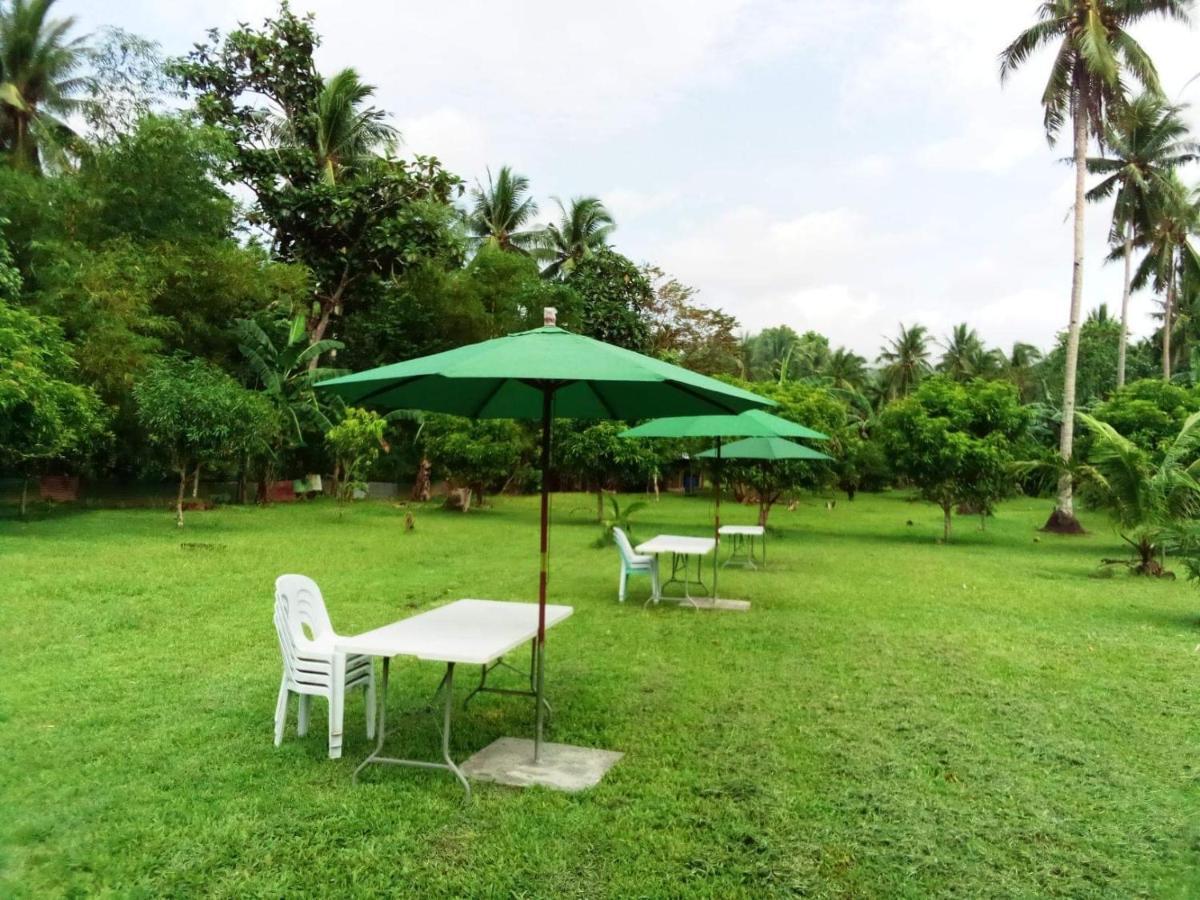 Dreamink Farm Og Myl'S Place Sorsogon Eksteriør bilde