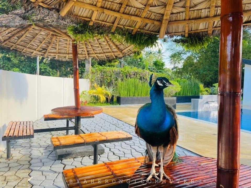 Dreamink Farm Og Myl'S Place Sorsogon Eksteriør bilde