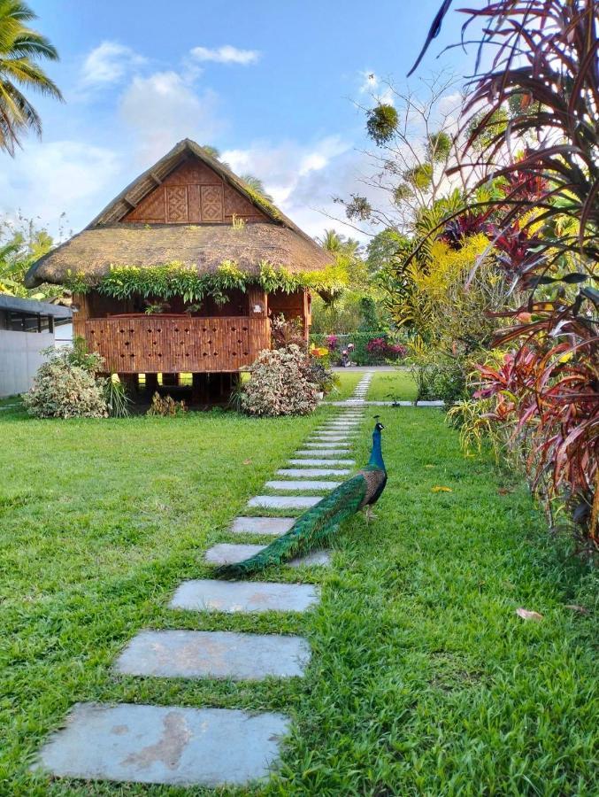 Dreamink Farm Og Myl'S Place Sorsogon Eksteriør bilde